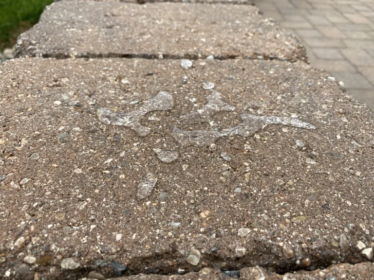 Sealed pavers protected from water damage and stains